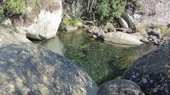 Rock pool on the Sterkspruit River from Monks Cowl Reserve 