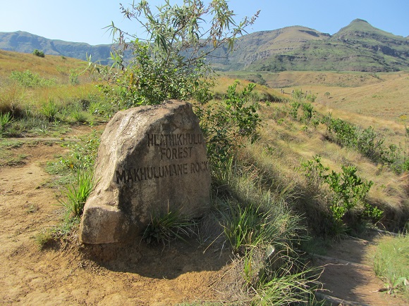Sign showing path to take for the Hlatikhulu Forest Trail and Makhulumane Rock Trail from Monks Cowl Reserve
