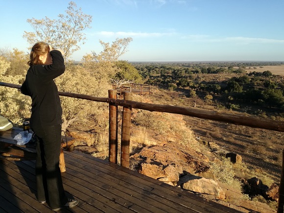Early morning view from Confluence Viewpoint in Mapungubwe National Park